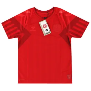 2022 Denmark Hummel Home Shirt *w/tags* M