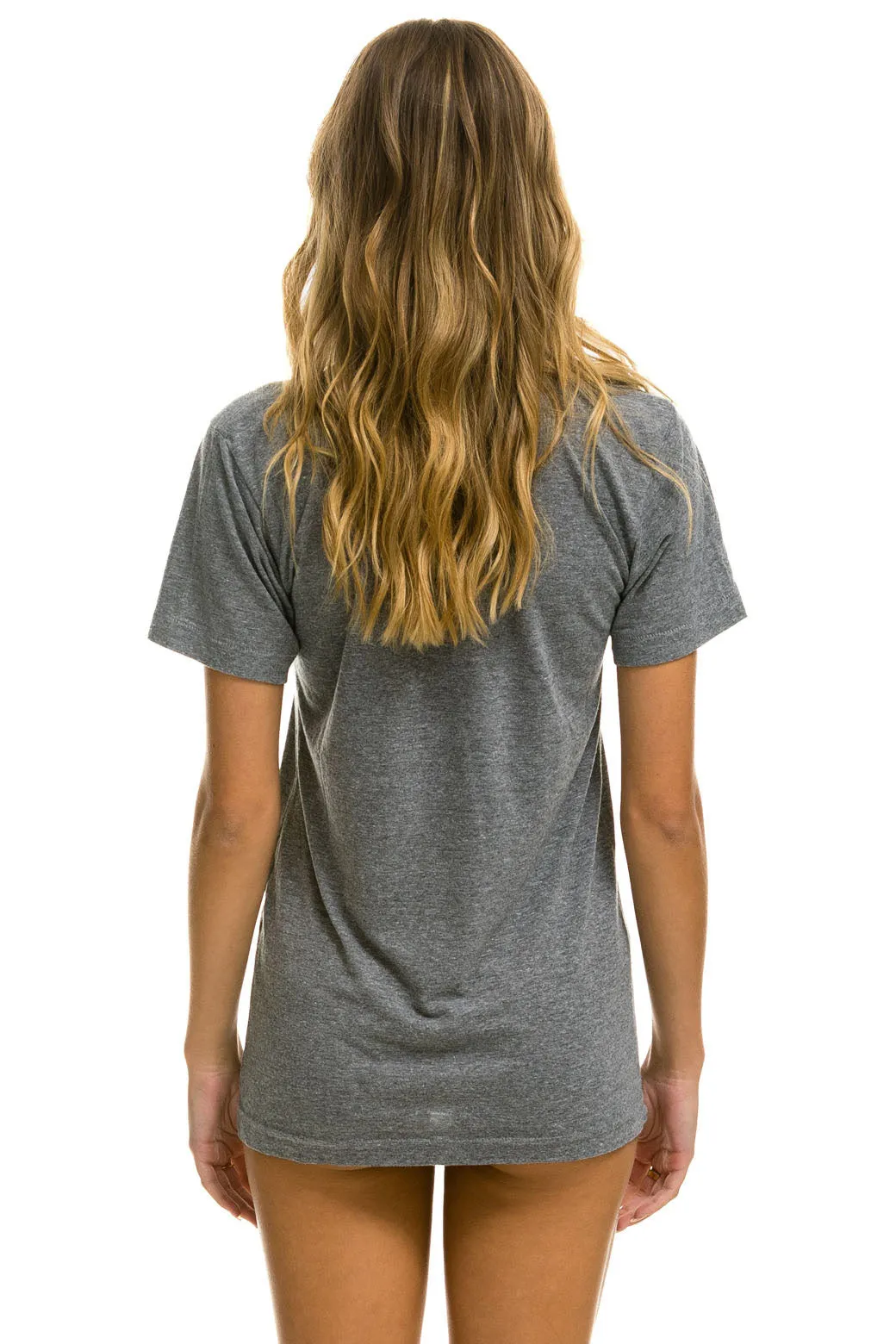 AVIATOR NATION VAIL TEE - HEATHER
