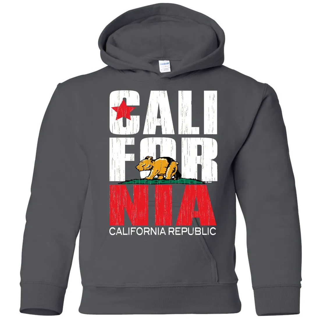 California Republic Vintage Retro Youth Sweatshirt Hoodie