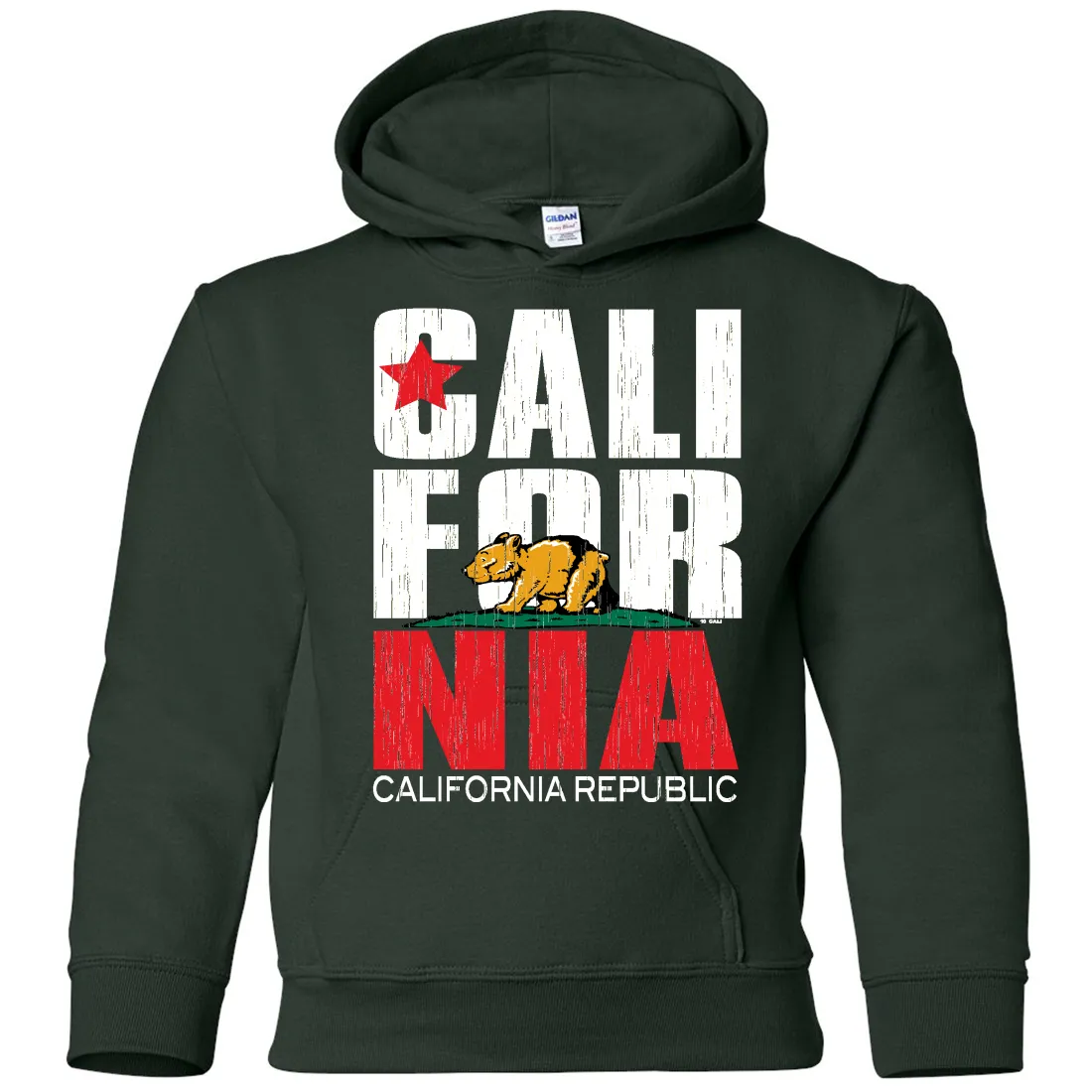 California Republic Vintage Retro Youth Sweatshirt Hoodie