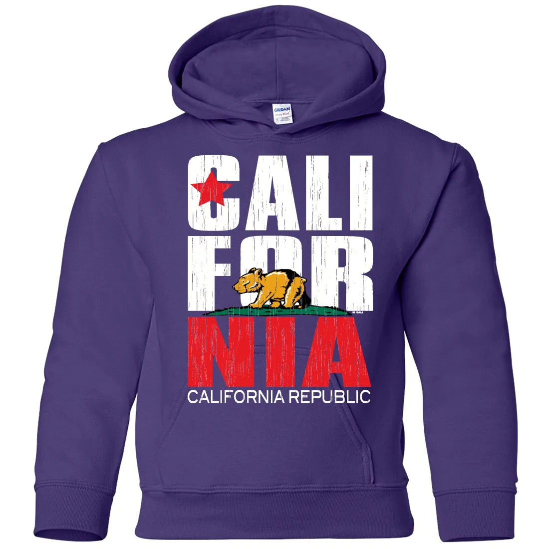California Republic Vintage Retro Youth Sweatshirt Hoodie