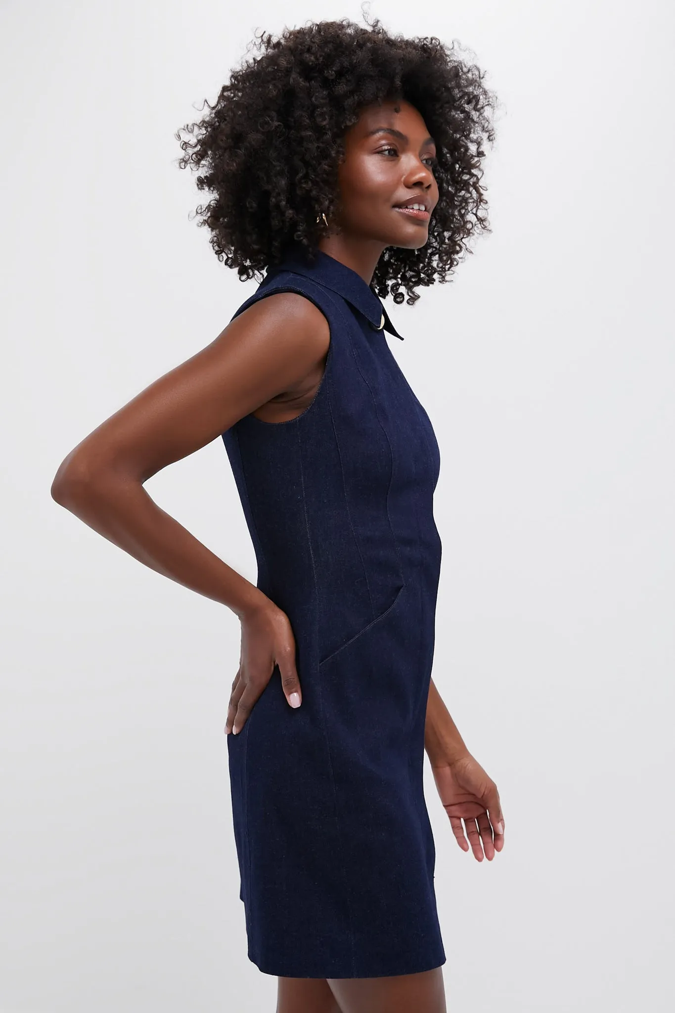 Dark Oxford Serina Dress