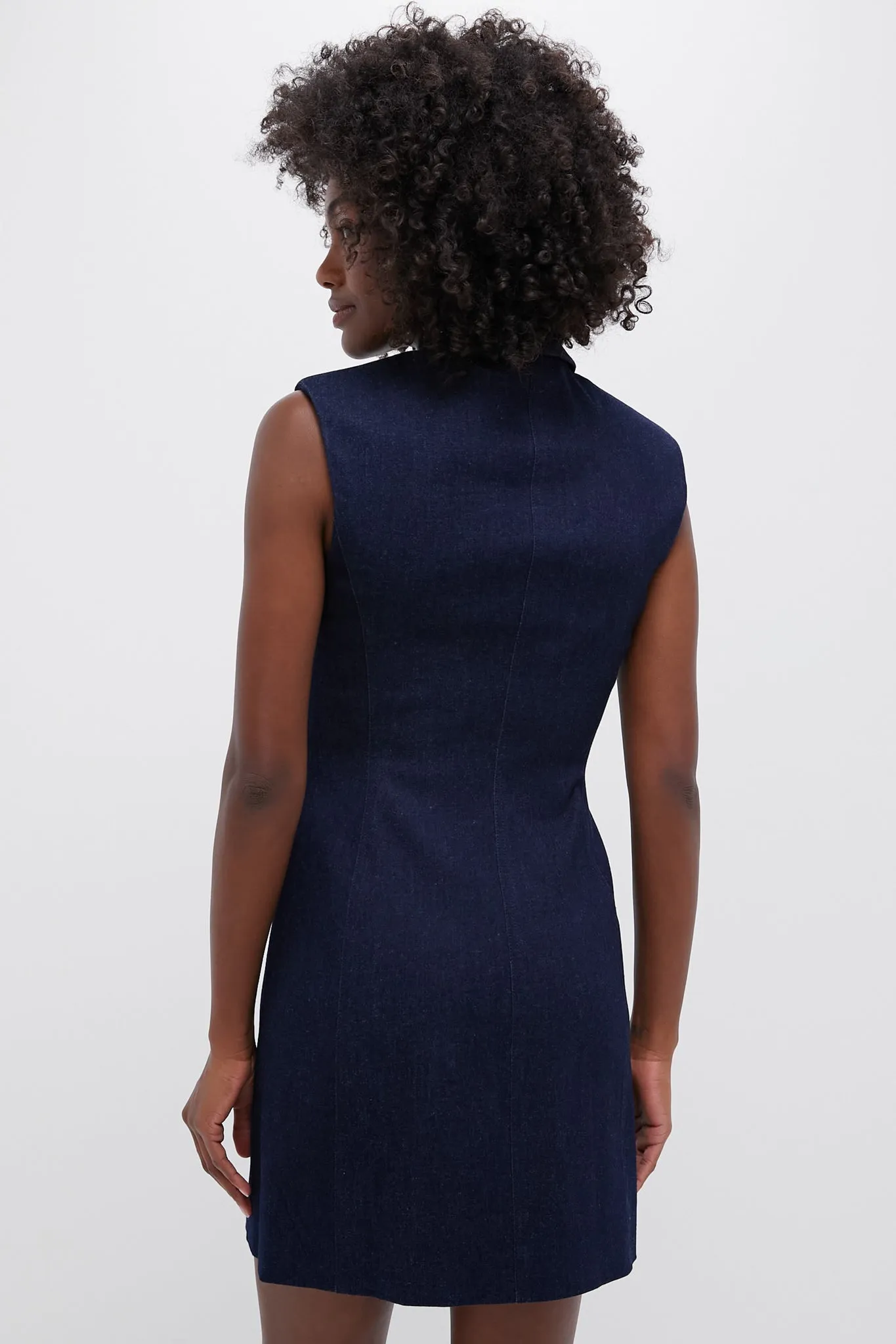 Dark Oxford Serina Dress