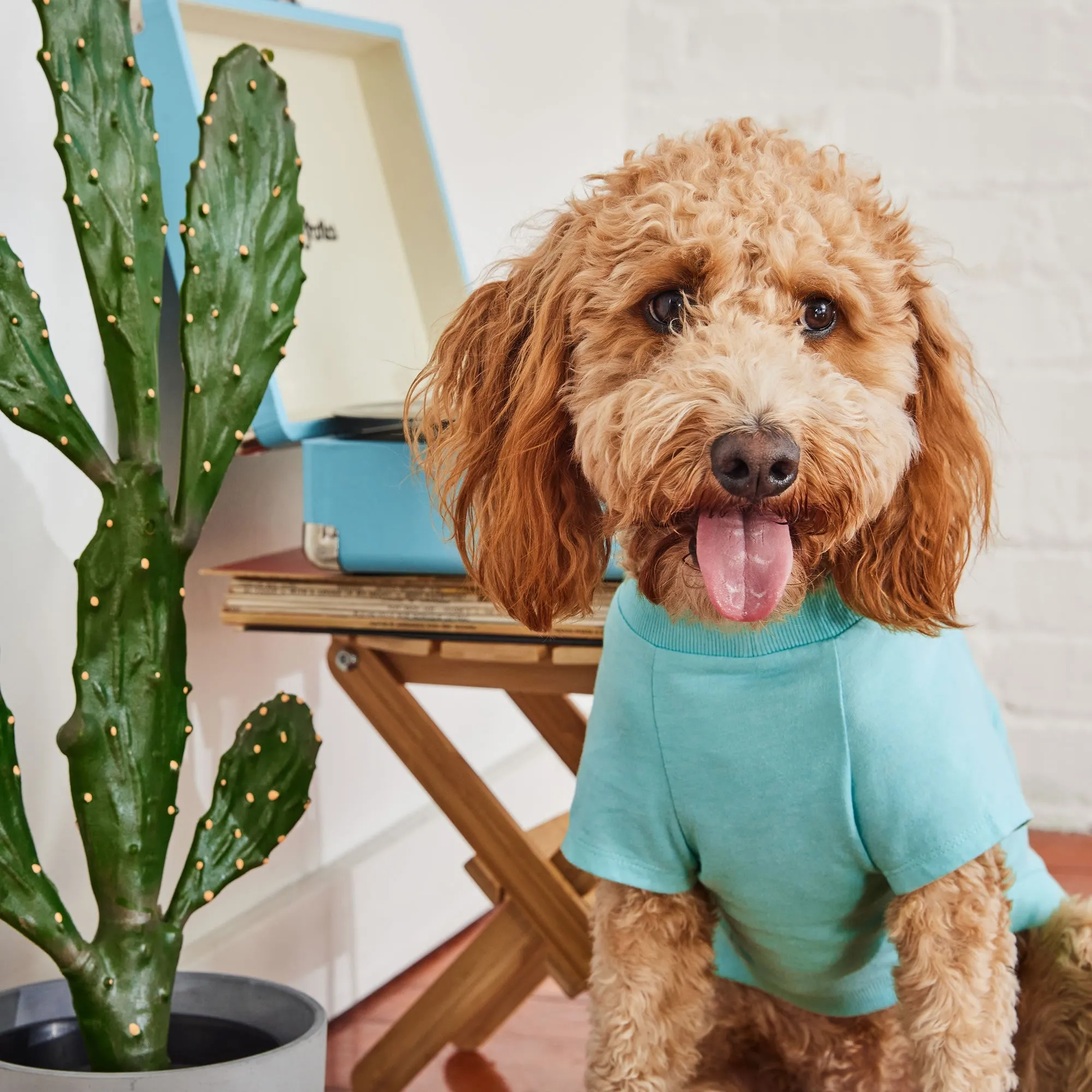 Dog Graphic Tee - Aqua