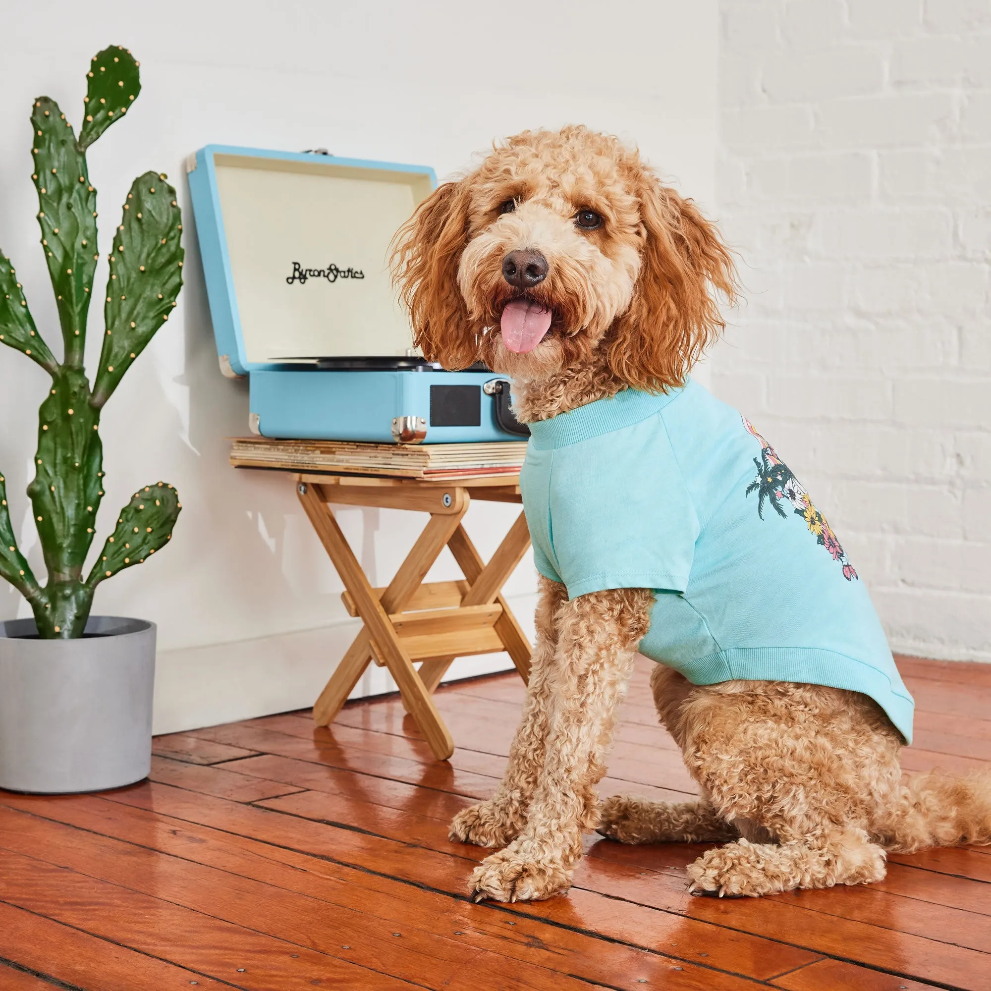 Dog Graphic Tee - Aqua