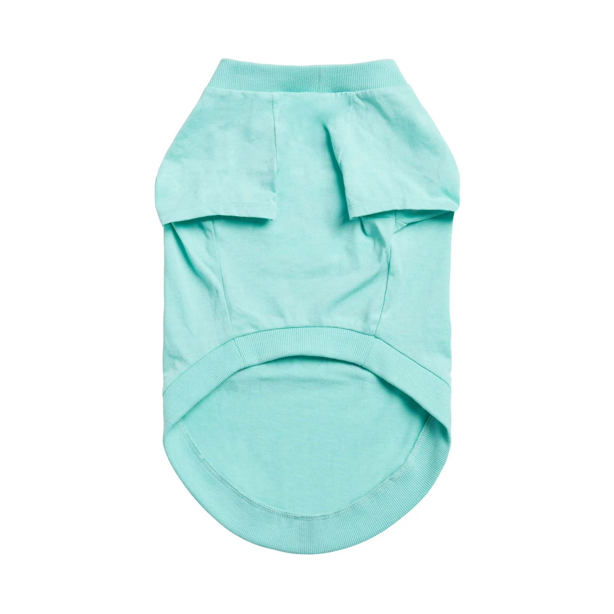 Dog Graphic Tee - Aqua