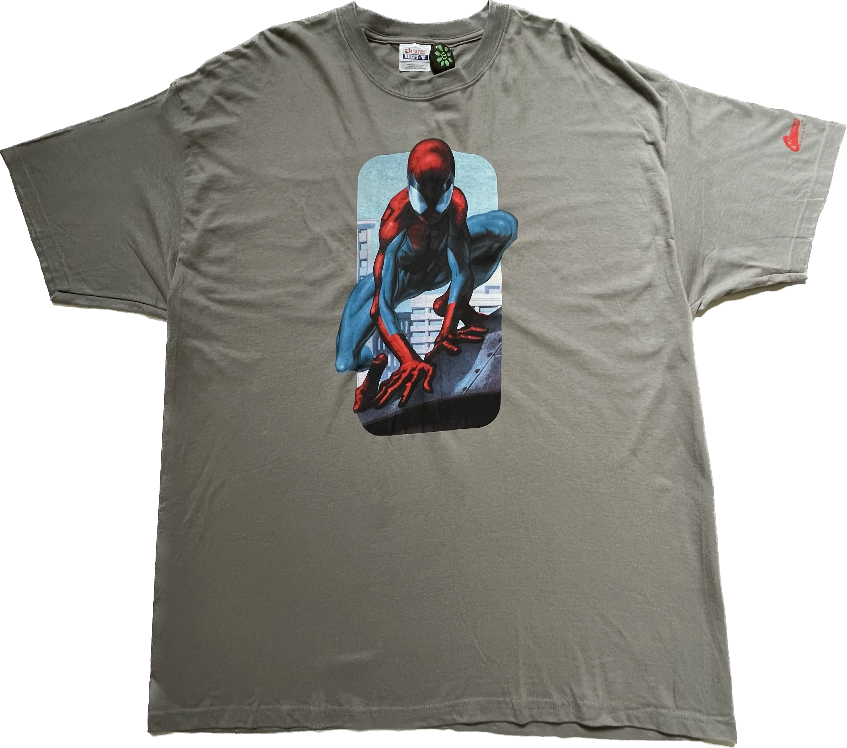 Hanes Grey Spiderman Graphic Tee