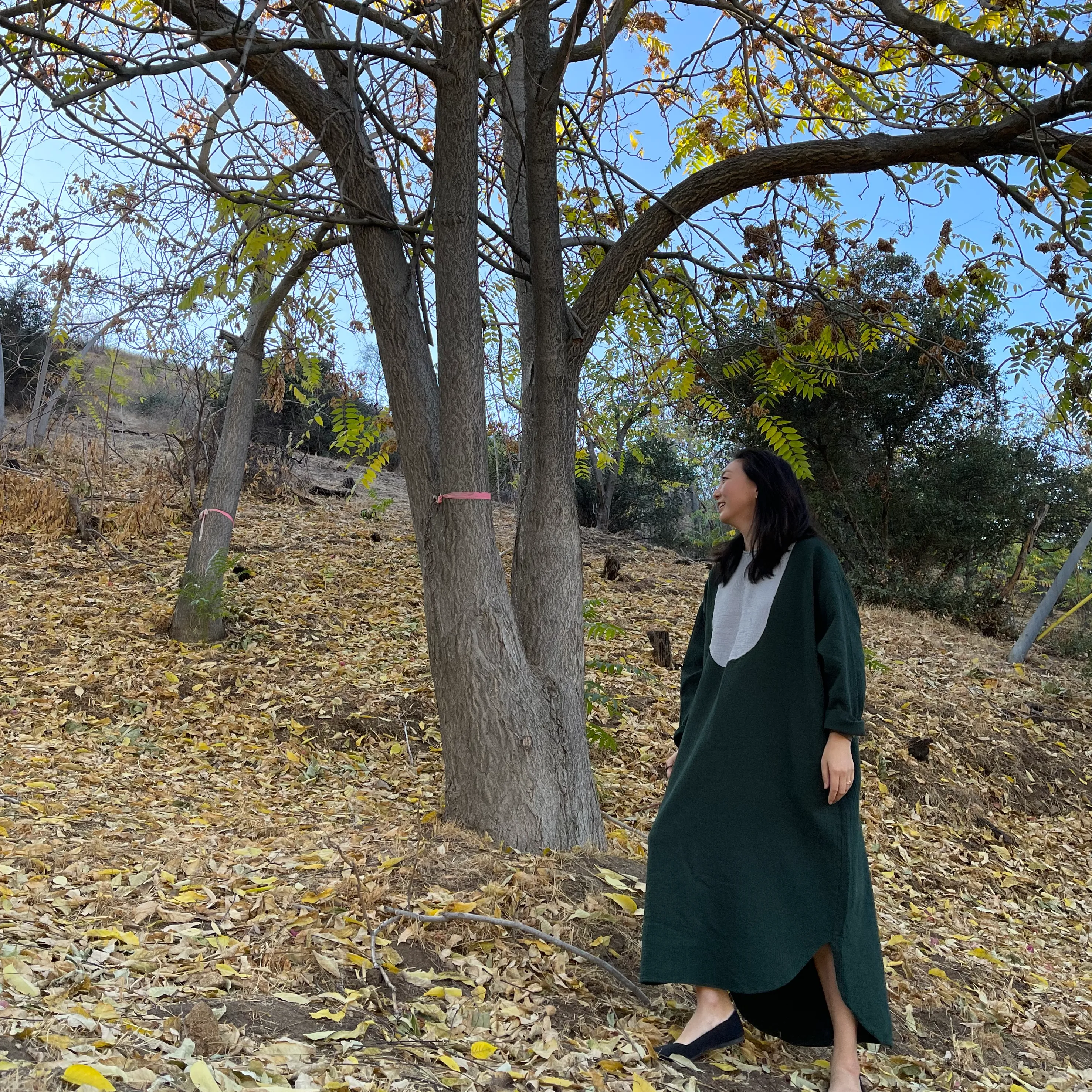 November Maxi Dress Green