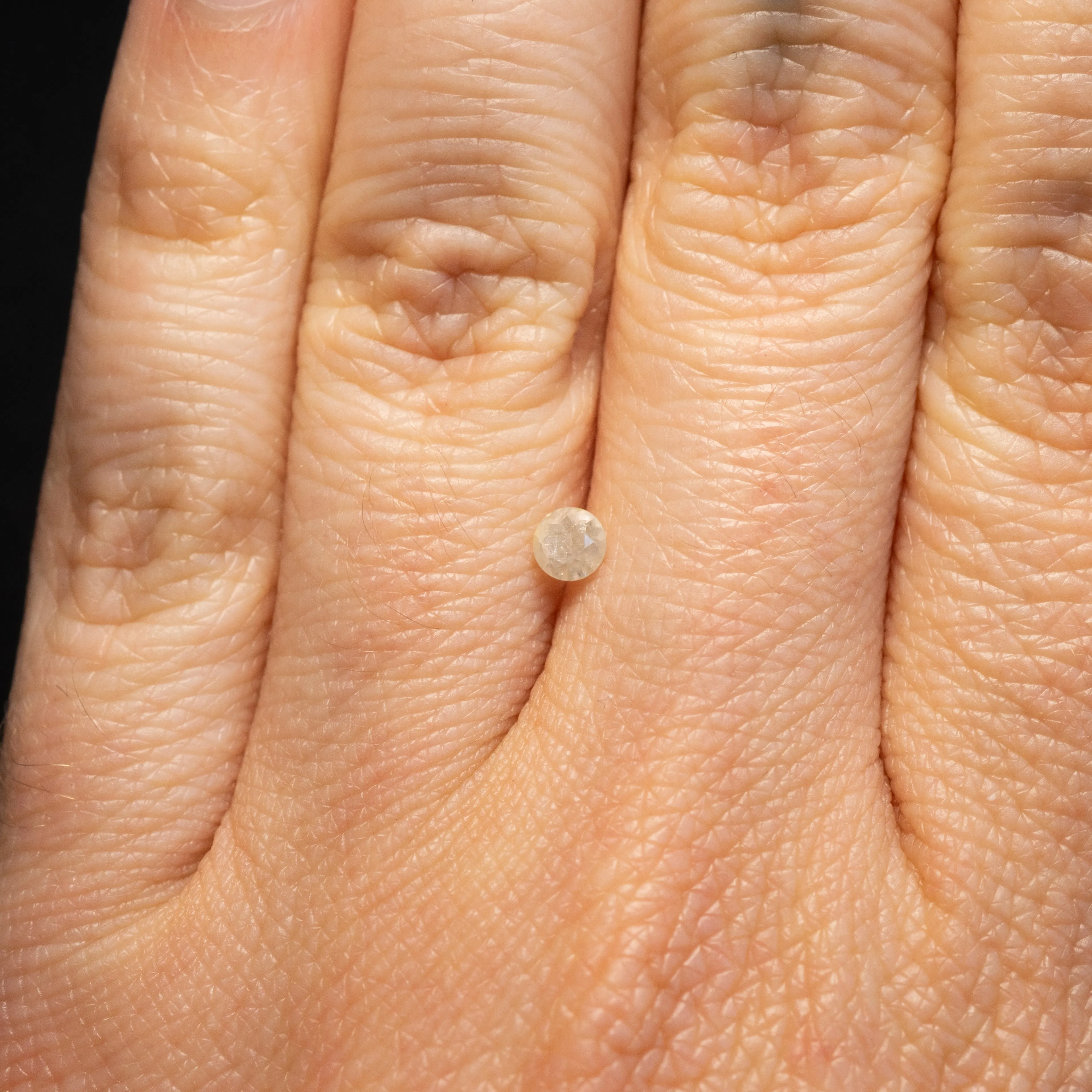 Round Brilliant Icy Salt   Pepper Diamond | 0.21ct