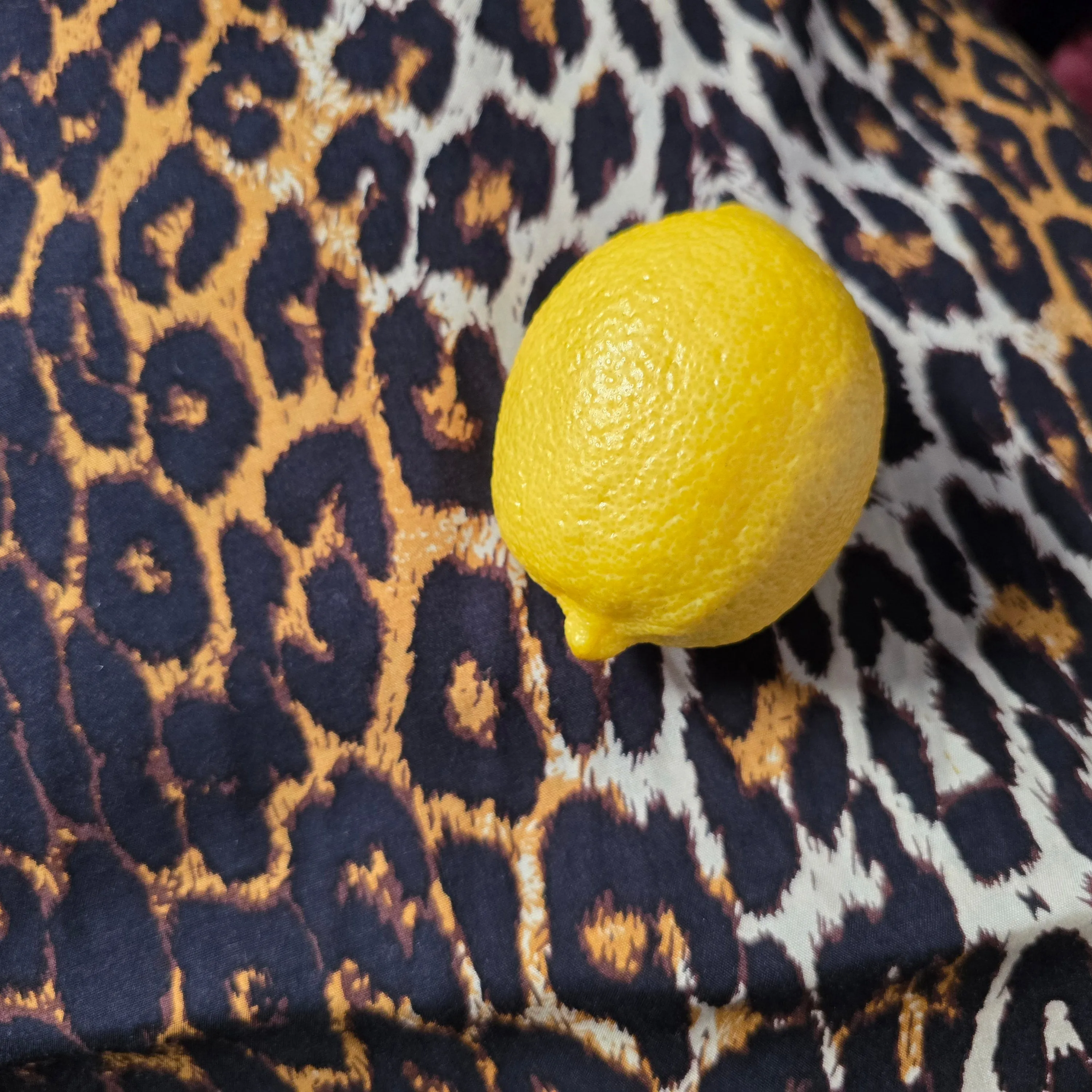 Shakira- cheetah printed rayon