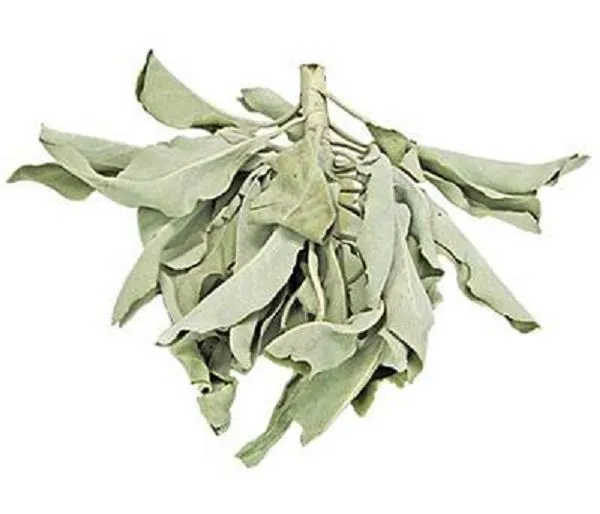 Smudge White Sage Loose 1lb