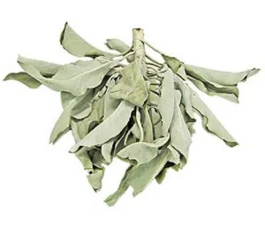 Smudge White Sage Loose 1lb