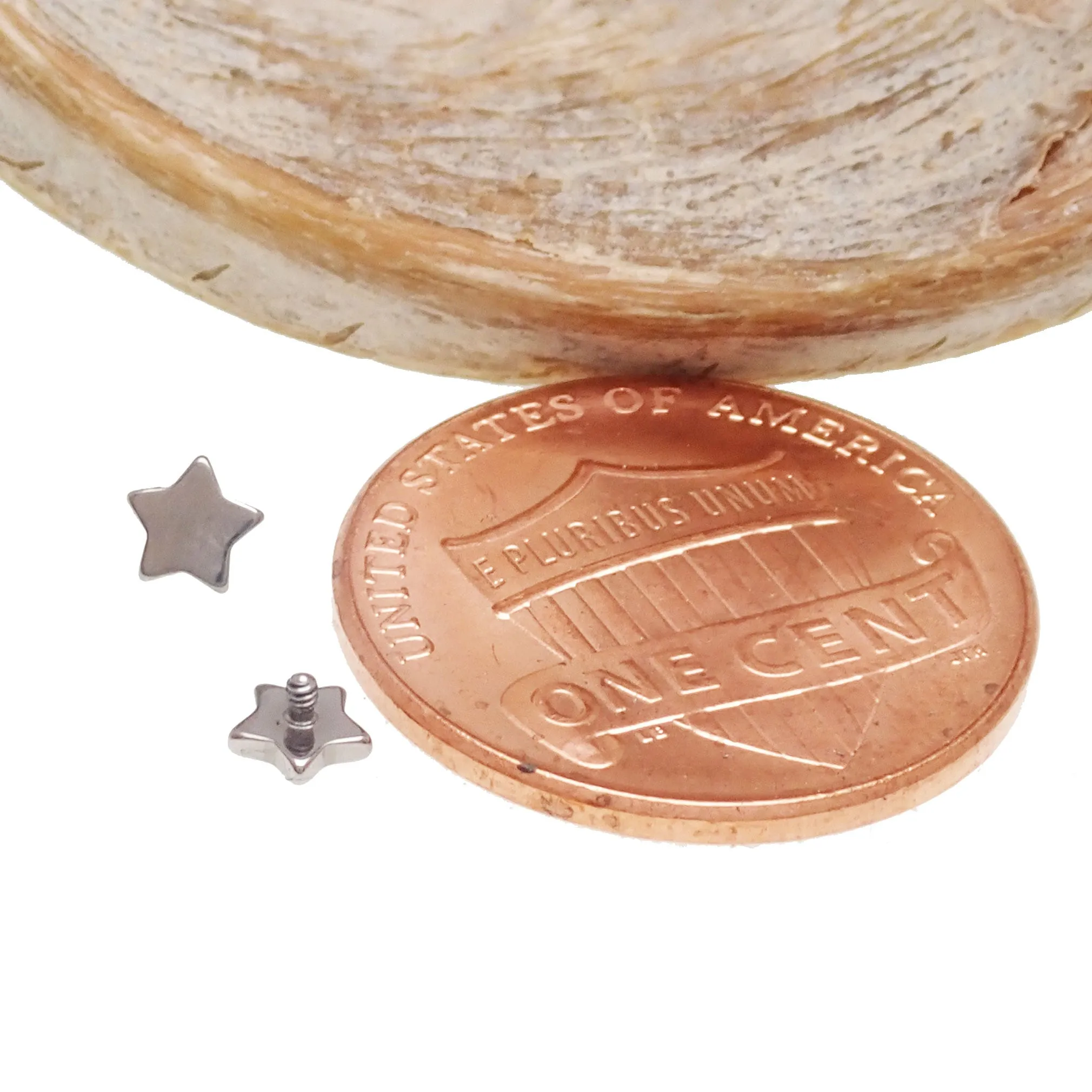 Star Dermal Titanium Top 14g