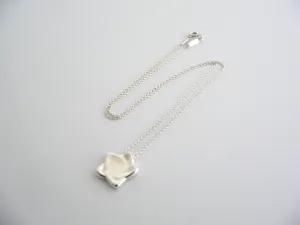 Tiffany & Co Star Necklace Pendant Charm Chain Elsa Peretti Love Silver Gift Art